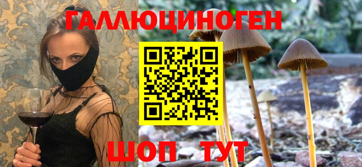 Псилоцибиновые грибы мицелий  Вход с VPN  Галлюциногенные грибы Psilocybe  Донецк 